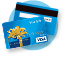 visa icon.png
